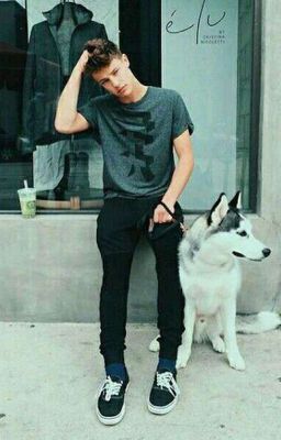 Путеводитель