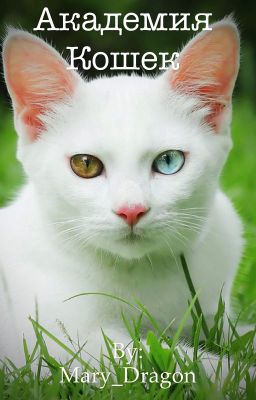 Академия Кошек(Закрыто)