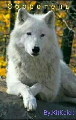 Оборотень [ЗАМОРОЖЕНО]