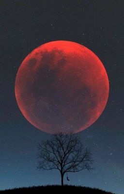 Долгая любовь