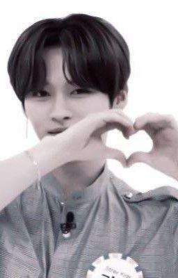 Новая жизнь 