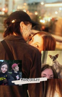 Сводные. Виларья