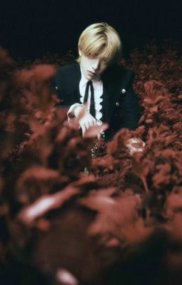 тень прошлого 