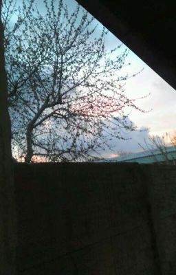 Жизнь Дается 1раз.....