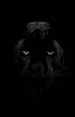 Чёрная пантера