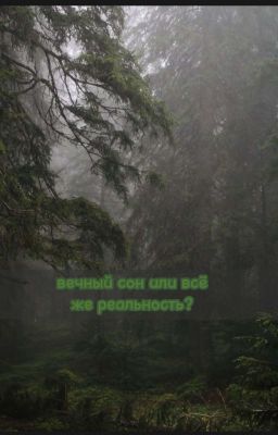 Вечный сон или все же Реальность? 