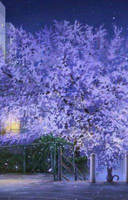 Привязанный Романтик.