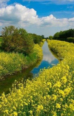 Летняя Любовь♥️