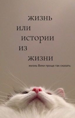 истории из моей жизни или просто моя жизнь 