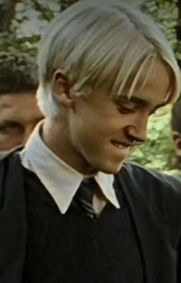 тихий омут. 