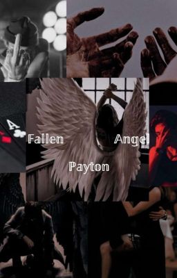 𝑭𝒂𝒍𝒍𝒆𝒏 𝒂𝒏𝒈𝒆𝒍 ( Payton ) 18+ 