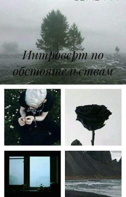 ИНТРОВЕРТ ПО ОБСТОЯТЕЛЬСТВАМ