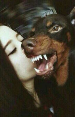 счастье киллерши