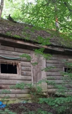 Дом с запахом смерти