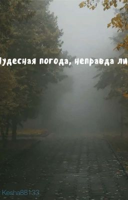 Чудесная погода, неправда ли?
