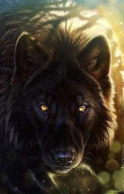 Волк из седьмого королевства.