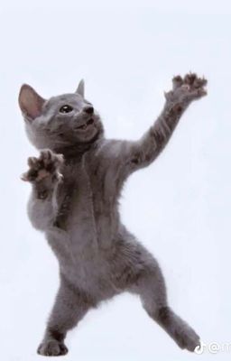 Жизнь За Кадром