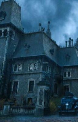 Необычная жизнь изгоя..