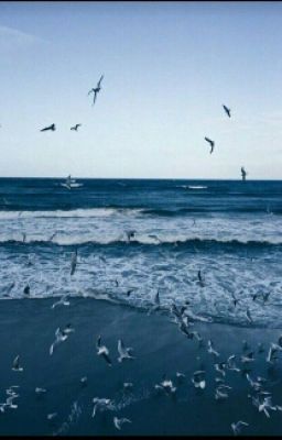 |Реклама Книг|√