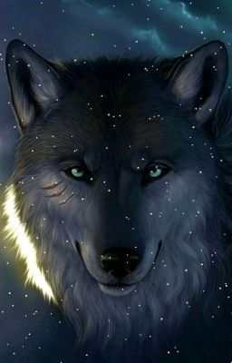 Облик Волка
