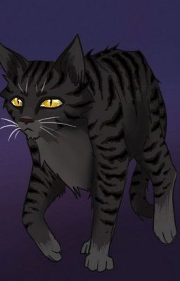 Коты-Воители: Жизнь Ястребочка