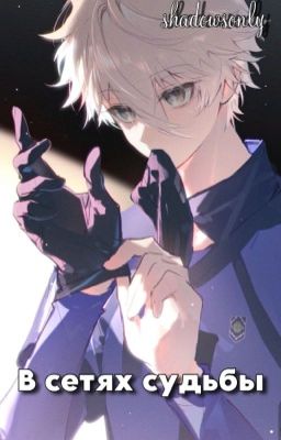 В сетях судьбы