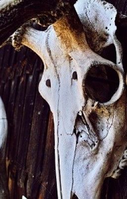 Дьявол из ветра