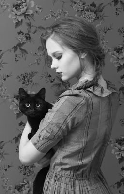 Кошачье преступление