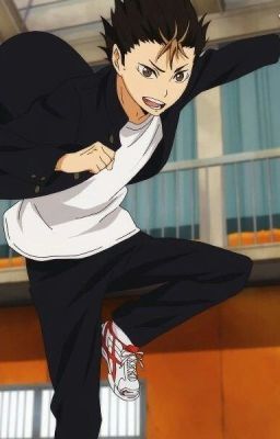 наше место,Ное