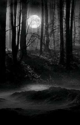 поход в лес на пятницу 13