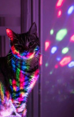 Мои Дни, Немного Не Очень...