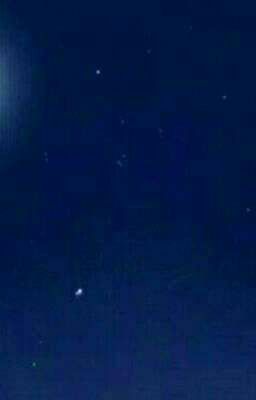 Новая жизнь для моих волшебных друзей