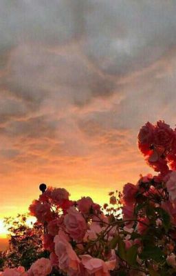 Её звали Лили.