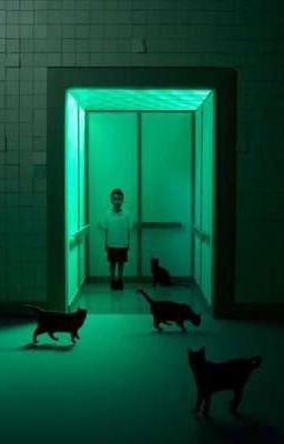 2 УЖАСНЫХ ДНЯ И 1 ХОРОШИЙ! 