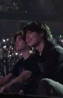 звёздочки ( сынчоны) 