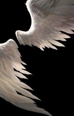 стандартная жизнь