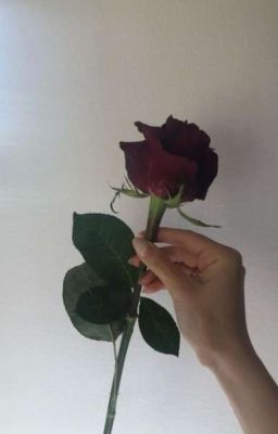 Первая И Последняя Роза🌹🥀