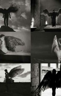 Что скрывают Небеса?