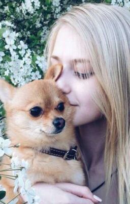 Серая Мышка