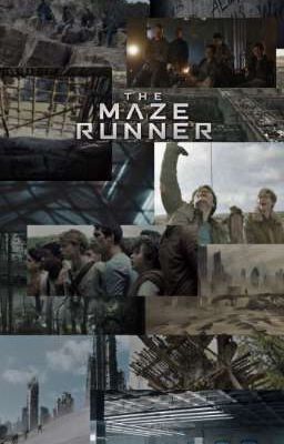 Бегущий в лабиринте. Лия и Минхо. Любой ценой. 