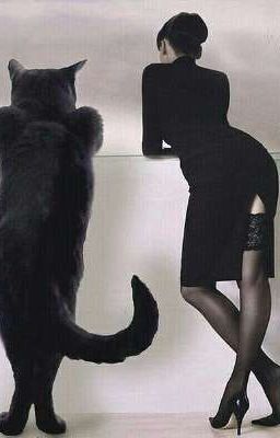 Мысли Белочки 