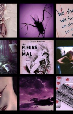 Ветви Плюща