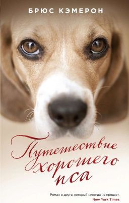 Путешествие хорошего пса