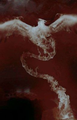 отряд "Феникс"