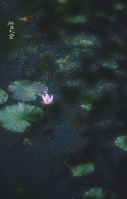 Путь к большой любви