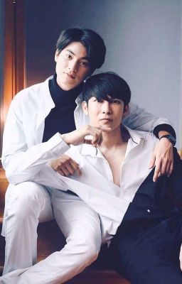 Мой Милый Тайп