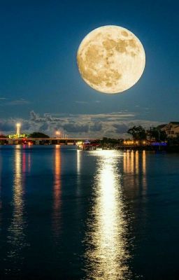 У оборотней свои секреты