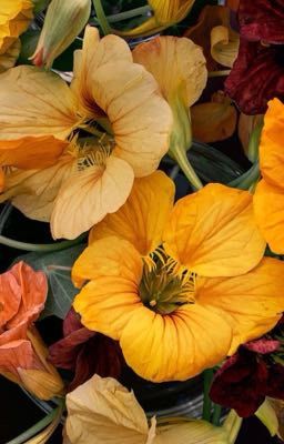 Не жизнь, а ад 