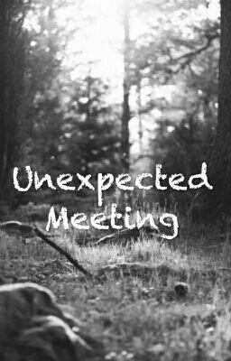 Unexpected Meeting