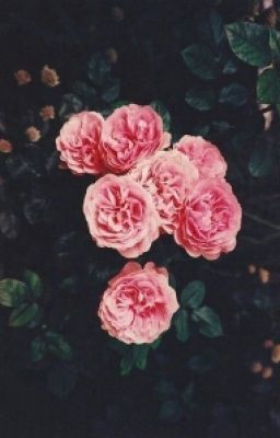 Кэри и её жизнь.